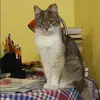 Отзыв от Ирина Симонова